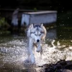 精品国产美女福到在线 355et