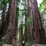 日本亚洲欧美日韩中文字幕 58kzun4x