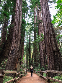日本亚洲欧美日韩中文字幕