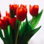 欧美看大片人与拘牲交 61zmd68n0t