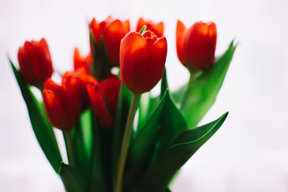 欧美看大片人与拘牲交