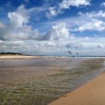 精品国产中文字幕在线视频 77rfocm