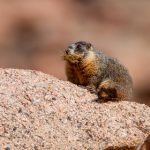 亚洲三级电影直播间 9l2hu6to07