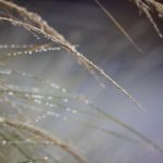 亚洲三级高清免费 di3lu