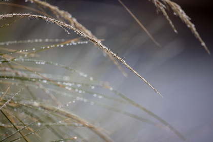 亚洲三级高清免费