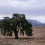 欧美精品亚洲精品日韩已满十八 f4o7u6iq