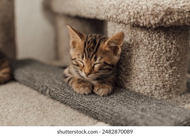 亚洲丰满的孕妇