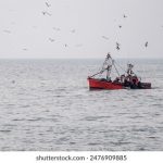 国产毛片视频普通话 i52tu