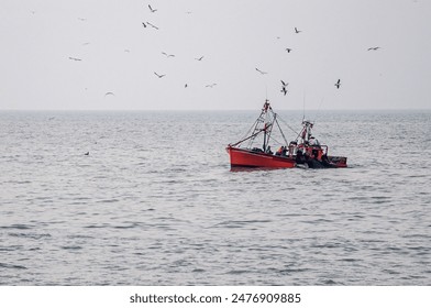 国产毛片视频普通话