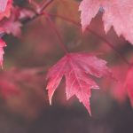 亚洲中文字幕无码亚洲人成视…5G ll9gr8zgc