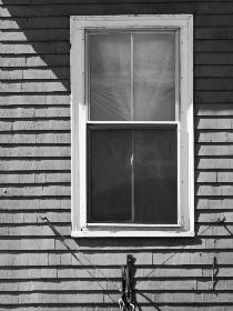 亚洲人成网站7777视频