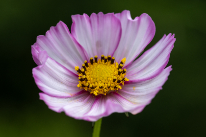 亚洲乱码中文字幕综合234