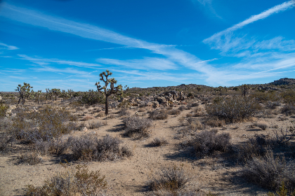 日本亚洲欧美三级