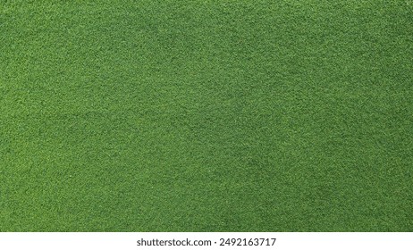 九色91蝌蚪超碰：探索多彩世界的奇妙之旅与乐趣