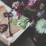 p站搬家工具:轻松转移你的作品与粉丝的最佳选择 9g65d0y