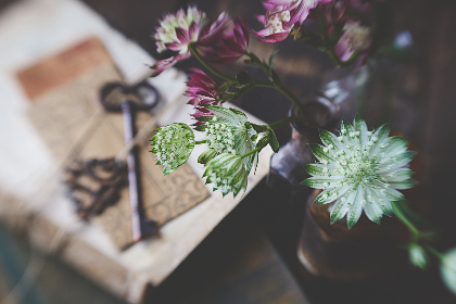 p站搬家工具：轻松转移你的作品与粉丝的最佳选择