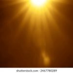 P站是什么平台:深入了解P站的功能与特色 d9ukpp