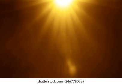 P站是什么平台：深入了解P站的功能与特色