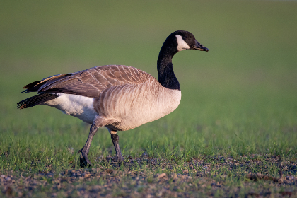 yhdm官网：探索最新资源与精彩内容的最佳平台