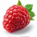 p站是什么东西:深入解析P站的起源、功能与影响 luoa808to