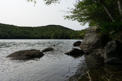 yhf是谁：揭开这个神秘人物的真实身份与背景故事